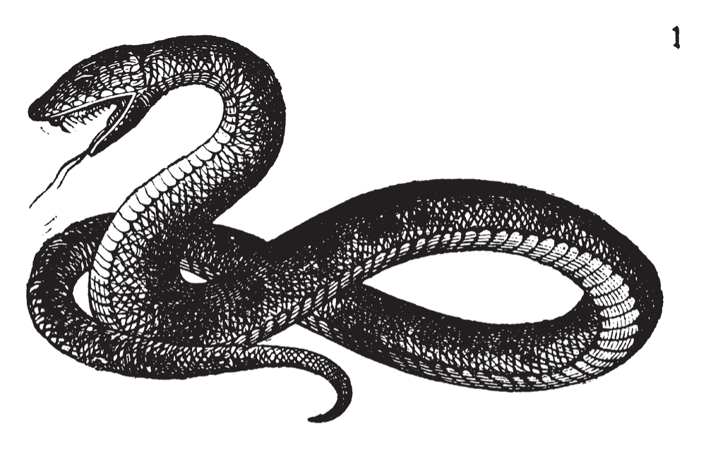 serpente símbolo