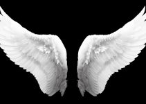 asas símbolo